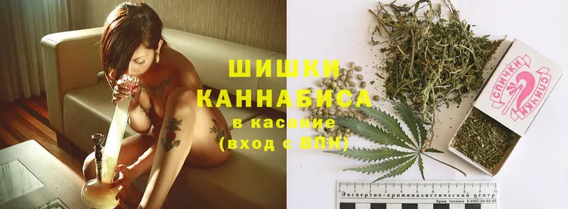 Марихуана White Widow  Фёдоровский 